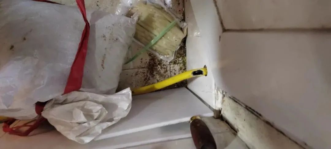 燃氣軟(ruan)管被老鼠(shǔ)咬了個大(dà)窟窿，竟然(ran)……